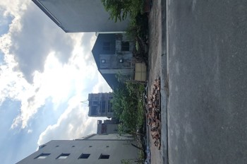 Đấu Giá 31Ha Trâu Quỳ, Gia Lâm. 234M2, Mt 12M, Đường 15M Giá Đầu Tư. Lh 0989894845