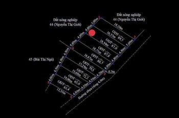 Bán Đất Mặt Đường Nhựa Phường Bàng La - Đồ Sơn - 87M2 - Đồ Sơn - Giá 9Xx Triệu
