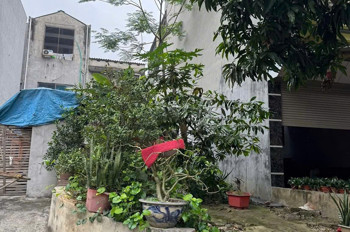 Chính Chủ Bán Đất Đẹp Khu Đồi Ông To – Phường Nông Trang, Tp. Việt Trì, Phú Thọ