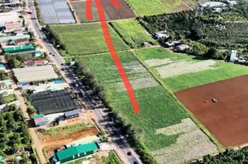 Đất Chính Chủ - Giá Tốt Tại Ql20 Xã Hòa Ninh, Huyện Di Linh, Tỉnh Lâm Đồng