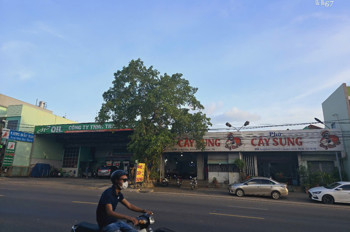 Cho Thuê Nhà Nguyên Căn – Khu Phố 9, Hố Nai, Đồng Nai