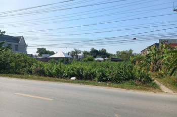 Bán Đất Tại Quốc Lộ 54, Xã Lai Vung (Xãtân Thành, Huyện Lai Vung) Giá Tốt Chỉ Với 4,1 Tỷ