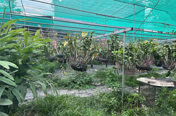 Bán Đất 2 Mặt Tiền Đường Dương Công Khi – Diện Tích Lớn – Tiềm Năng Khai Thác Cao