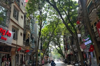 Mặt Phố Trần Quốc Hoàn - Đoạn Đẹp Nhất Phố - Kinh Doanh Sầm Uất - 2 Mặt Thoáng Trước Sau