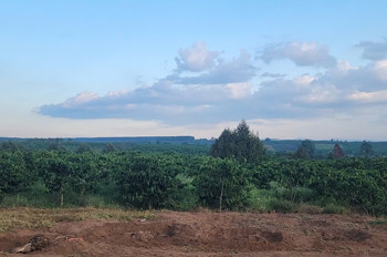 Kèo Thơm Đầu Tư/cá Nhân - 2.400M2 Đất Thổ Cư - Cơ Hội Phân Lô Sinh Lời Khủng