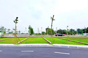 Bán Đất Nền Khu Hoà Lạc - Đh Quốc Gia 100M2 Full Thổ Cư, Mặt Tiền 8M, Đường Trước 9M, Giá 3,5 Tỷ