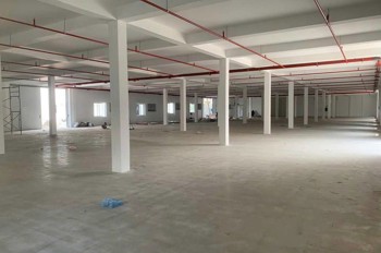 [Cho Thuê] Kho/xưởng Mới 10.000M² Tại Kcn Quang Minh - Pccc Nghiệm Thu
