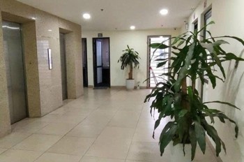 Toà Vp Khủng Mặt Phố Hoàng Cầu, Đống Đa - 410M2, Mt 15M - 2 Thang Máy, 1 Hầm - Pccc Đầy Đủ