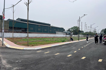 Đất Nền Hoà Lạc Tâm Điểm Đầu Tư Bền Vững Phía Tây Hà Nội Giá Chỉ 3X/m2