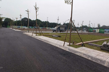 Bán Đất Thạch Hoà Phú Cát 100M, Mt 6,2M,, Hoà Lạc - Full Thổ Cư 