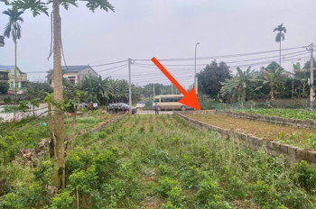 Anh Trai Em Làm Ăn Kinh Doanh Đầu Năm Thua Lỗ Nhờ Em Đăng Bán 100M2 Bám Trục Chính Đường Liên Xã