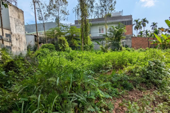 [D2284] Đất Sổ Hồng Riêng Vườn Cau Đỏ - Nở Hậu Đắc Lộc Giá Lộc Phát 9.X Tỷ!
