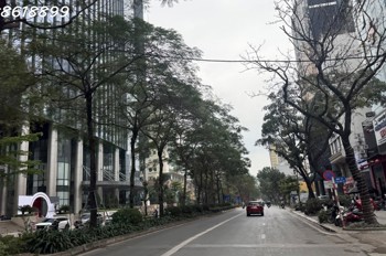 Bán Biệt Thự Lô Góc Láng Hạ - Đống Đa - 430M2 - Mt 16M - Ô Tô Đỗ Ngày Đêm - 83 Tỷ