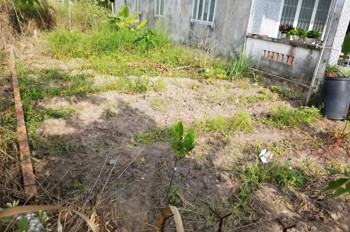 Bán Đất Nền Chính Chủ Giá Tốt Tại Bàu Bàng – Vị Trí Đẹp, Đường Bàn Cờ, Phù Hợp Xây Nhà Ở Hoặc Đầu Tư
