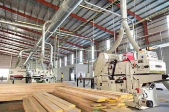 Chuyển Nhượng Nhà Xưởng Cụm Cn Hóc Môn – 4.000M² – Pháp Lý Chuẩn – Giá 33 Tỷ