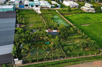 Đất Lớn Mặt Tiền Xuân Thới Sơn – Gần 6400M² – Ngang 65M Có Thổ Cư