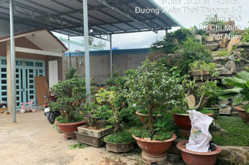 Gấp Gấp – Siêu Phẩm Đất Lớn Nở Hậu Dương Công Khi – Giá Chỉ 11 Tỷ (Tl)