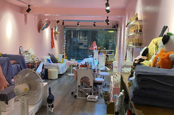 Sang Nhượng Tiệm Spa Nail Mi Gội Đầu Full Setup Ở Lại Được ,Khu Vực Đống Đa Hà Nội