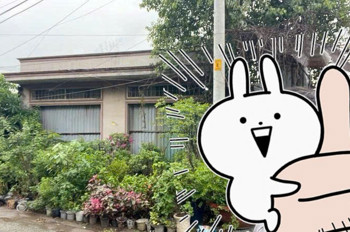 Bán Nhà Mặt Tiền Hoàng Hữu Nam,Kế Ga Metro Suối Tiên,Giảm Sock 4Tỷ