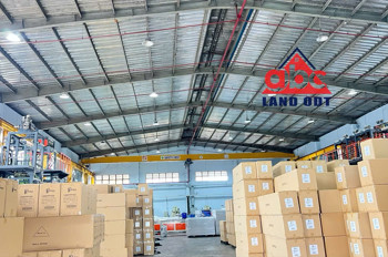Xt119 Cho Thuê Xưởng Sản Xuất, Tiếp Nhận Linh Hoạt Ngành Nghề, Có Sẵn Nhiều Cầu Trục