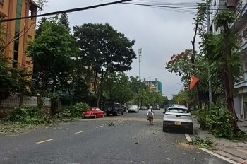 Đất Tđc Việt Hưng 80M2 - Mặt Tiền 6M - Vỉa Hè, Ô Tô Tránh - Giá 1X Tỷ