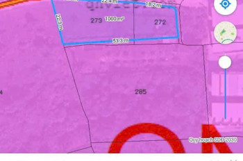Hàng Thơm Bình Mỹ – 1.000M² Full Thổ Cư – Đường Xe Hơi – Giá Chỉ 10 Tỷ‼