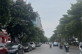 Mặt Phố Trần Thái Tông - Cầu Giấy - Lô Góc 3 Thoáng - Mặt Tiền 14M Quyền Lực