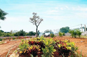 Bán Nhanh Giá Đầu Tư 14Tr 863M Yên Xuân Quốc Oai Sát Trục Chính View Thoáng Mát Đường 3 Ôtô