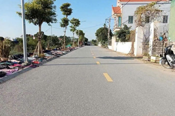 Bán Đất Lô Góc – Mặt Tiền Rộng Tại Triệu Việt Vương, Tân Dân, Khoái Châu