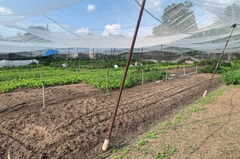 Gấp Bán Đất 1.560M² – Trần Thị Bốc – Gần Ngã Tư Đặng Thúc Vịnh-Hoc Môn