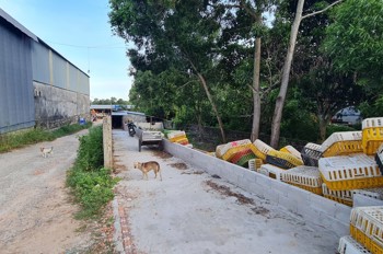 Chính Chủ Cần Bán 12.000M² Đất Tại Đặc Khu Phú Quốc – Đón Sóng Apec 2027