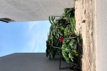 Trung Tâm Trâu Quỳ, Gia Lâm 60M2 Ô Tô Tránh Chỉ 8 Tỷ Hơn Đầu Tư Cực Tốt. Lh 0989894845