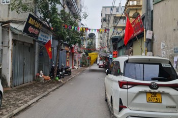 Bán Đất Trục Chính Kinh Doanh Trâu Quỳ, Gia Lâm. 99M2 1X Tỷ Đầu Tư Tốt. Lh 0989894845