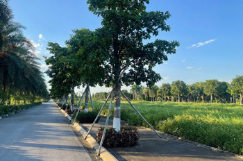 ► Mik Phố Nối – “Ecopark” Mới Của Mỹ Hào, Hưng Yên