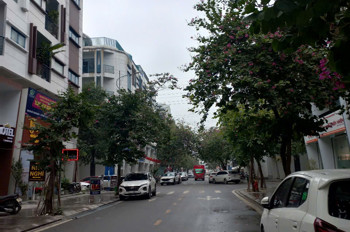 Cần Bán Lk Kđt Ngân Hà Vạn Phúc, 6Tầng Thang Máy, Oto Tránh, Vỉa Hè, Kinh Doanh, 33.X Tỷ