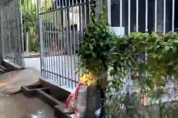 Bán Nhanh Dãy Trọ Đang Kinh Doanh Tốt Tại Huyện Châu Thành, Tỉnh Tiền Giang