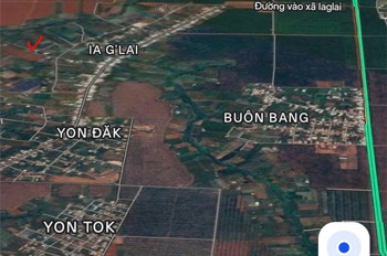 Đất Cà Phê Đẹp – Giá Tốt – Cần Bán Đất Tại Xã Ia Glai, Huyện Chư Sê, Gia Lai