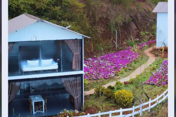 Cho Thuê Tổ Hợp Cafe & Homestay Tại Vạn Thành, Đà Lạt
