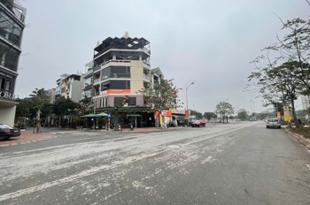 Bán Đất Đấu Giá Việt Hưng 350M2- Mt 20M- Xây Building, Ở Vip- Hơn 60 Tỷ