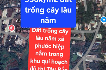 Bán Gấp 14.250M² Đất Trồng Cây Lâu Năm Tại Xã Phước Hiệp, Huyện Củ Chi, Tp Hồ Chí Minh - Chỉ