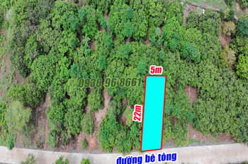 Lãi Ngay 100-150 Triệu Trong Ngắn Hạn Vì Sao Không?