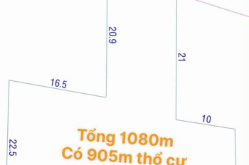 Quỹ Đất Vàng Mt Xuân Thới Sơn 16 – Hơn 1.000M² Thổ Cư Giữa Trung Tâm Hóc Môn