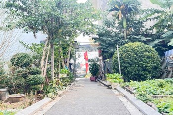 80M2 Đất Mai Lâm( Đông Anh) - 5.2 Tỷ