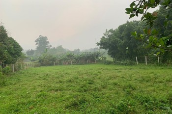 Chính Chủ Bán Nhanh 1.100M² Đất View Đẹp Tại Ba Vì Làm Homestay,Second Home