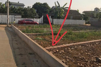 Cần Tiền Trả Ngân Hàng - Bán Gấp Lô Đất Đẹp Đường 21A, Hòa Thạch, Quốc Oai - Cơ Hội Đầu Tư Hiếm Có