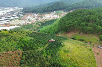 Bán Đất Nghỉ Dưỡng , Canh Tác Tại Lang Biang, Đà Lạt , Lâm Đồng