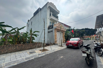 Bán Lô Đất 115M2 - Làn 2 Kđt Nguyên Khê - Đông Anh - Hà Nội. Giá 95Tr/m2