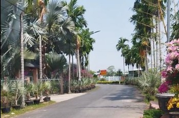 Bán Nhà Đường Trần Khánh Dư- Khu Làng Hoa Sa Đéc, 380M2, Giá 2 Tỷ 8