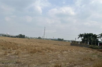 Bán Đất Tân Bửu, Bến Lức, Long An 20.335M2 Giá 3,5Tr/m Cách Đường Nguyễn Hữu Trí 300M