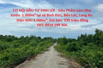 Cơ Hội Đầu Tư Sinh Lời - Siêu Phẩm Làm Nhà Vườn 1.000M² Tại Xã Bình Đức, Bến Lức, Long An